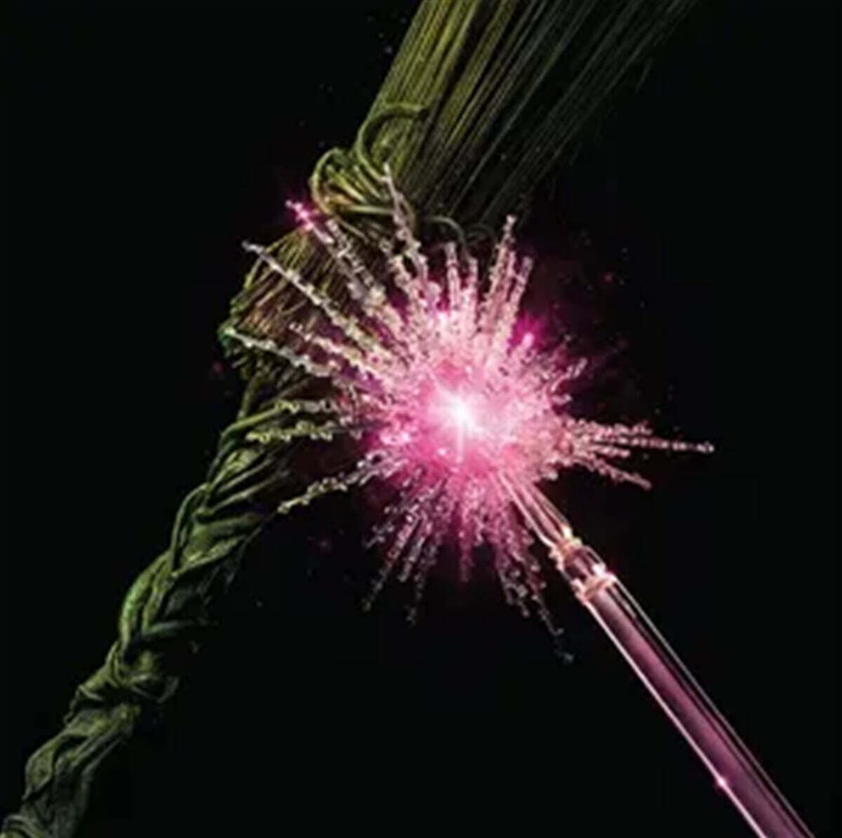 위키드: 포 굿 영화음악 (Wicked : For Good - The Soundtrack) [픽쳐디스크 2LP]