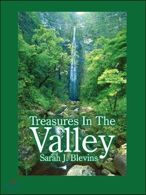 Treasures in the Valley