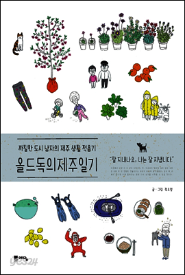 올드독의 제주일기