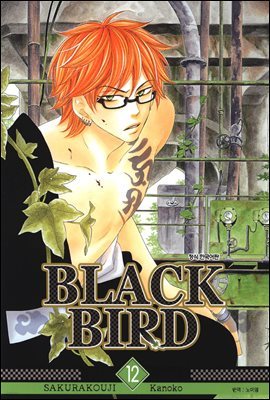 블랙 버드(BLACK BIRD) 12권