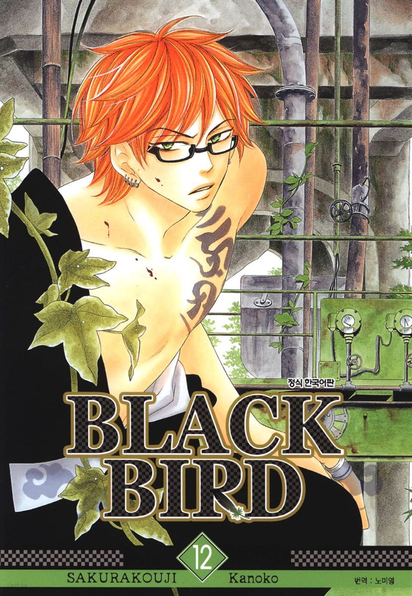 블랙 버드(BLACK BIRD) 12권