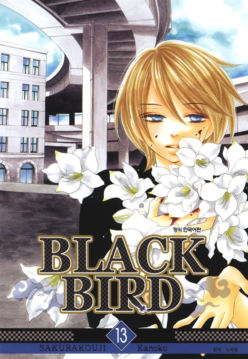 블랙 버드(BLACK BIRD) 13권