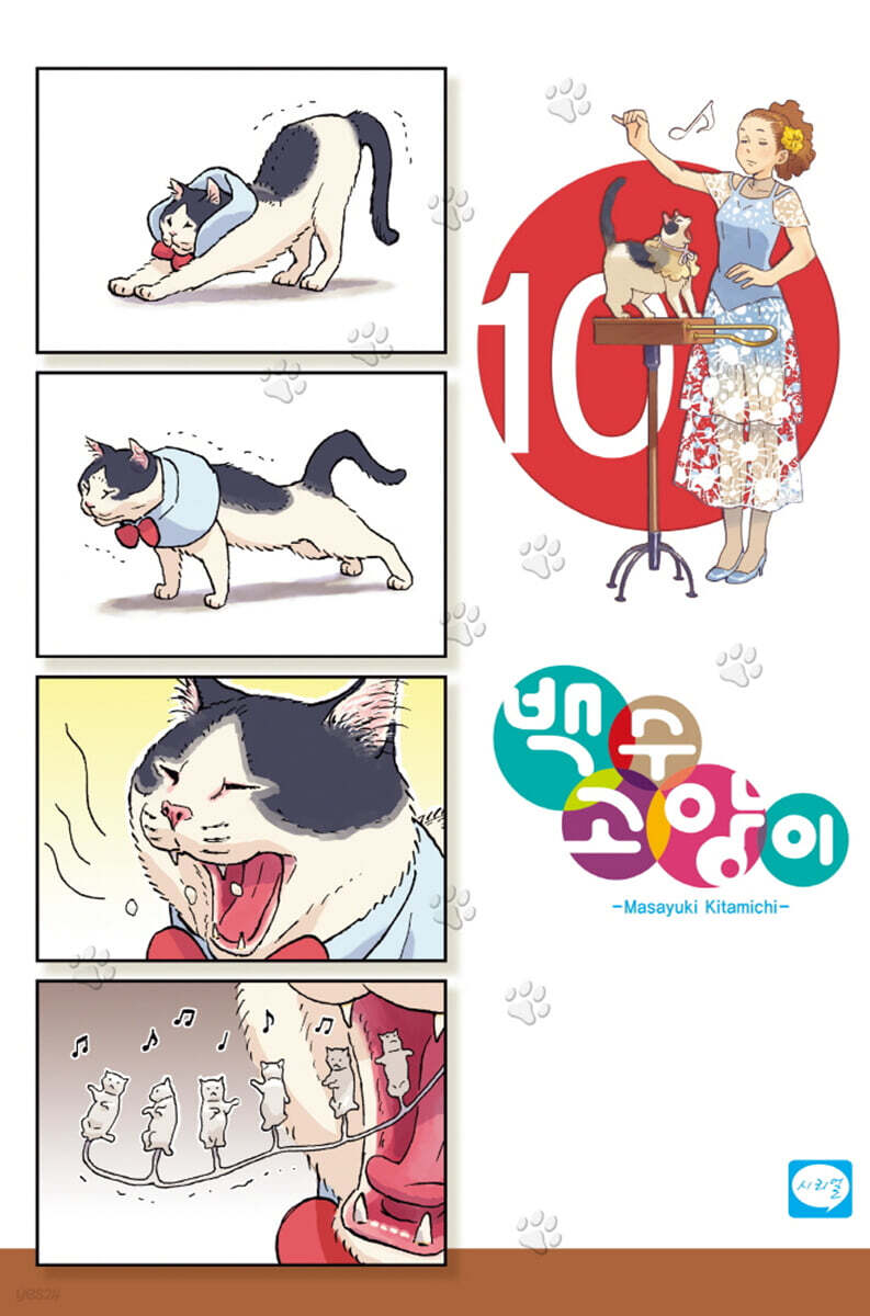 백수 고양이 10