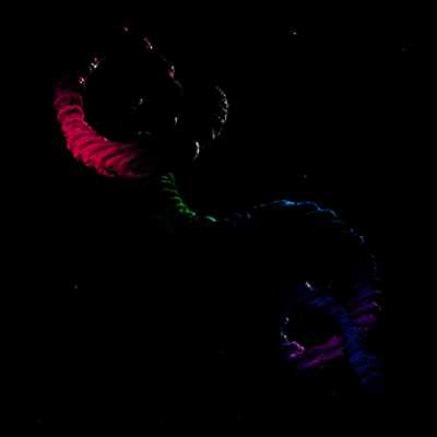Brogan Bentley — Snake (Download Code)(EP) 앨범 커버