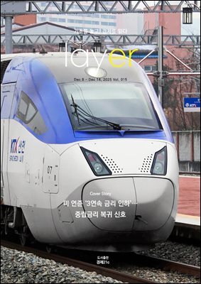 레이어(LAYER) 15호