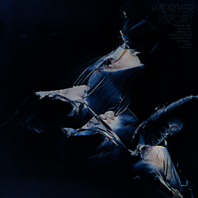 Weather Report — Weather Report (Gatefold) 앨범 커버