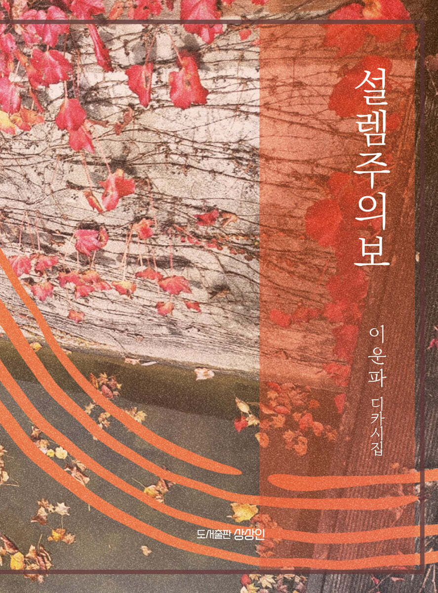 설렘주의보