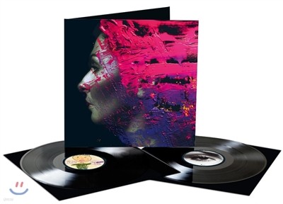 Steven Wilson — Hand Cannot Erase 앨범 커버