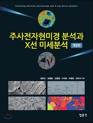 주사전자현미경분석과 X선 미세분석