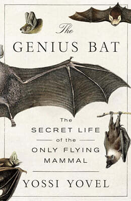 The Genius Bat: The Secret Life of the Only Flying Mammal