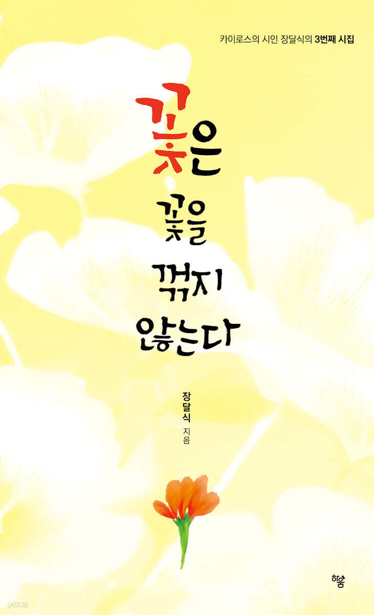꽃은 꽃을 꺾지 않는다
