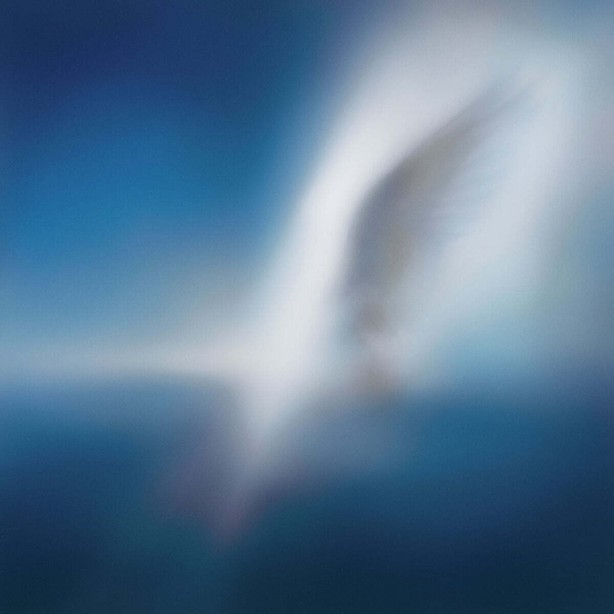 카더가든 (Car, the garden) - EP [Blue Heart]