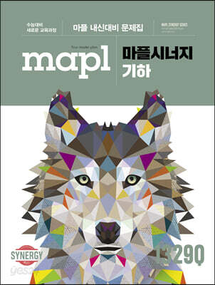 MAPL 마플 시너지 기하 (2026년용)