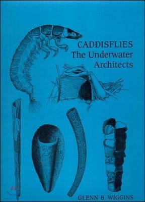 Caddisflies: The Underwater Architects