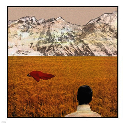 Lady Lamb The Beekeeper — After 앨범 커버
