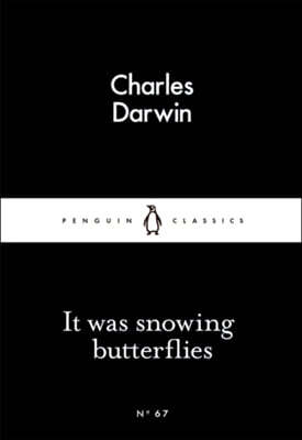 The It Was Snowing Butterflies