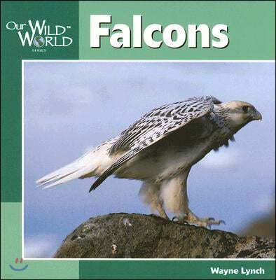 Falcons