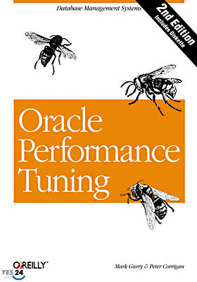 Oracle Performance Tuning: Database Management Systems [With *]