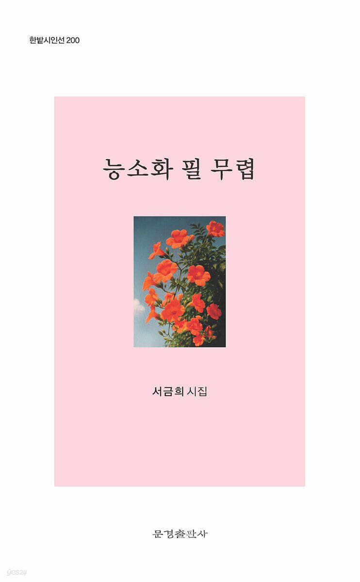 능소화 필 무렵
