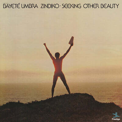 Bayete Umbra Zindiko — Bayete Umbra Zindiko (바예테 움브라 진디코)- Seeking Other Beauty 앨범 커버