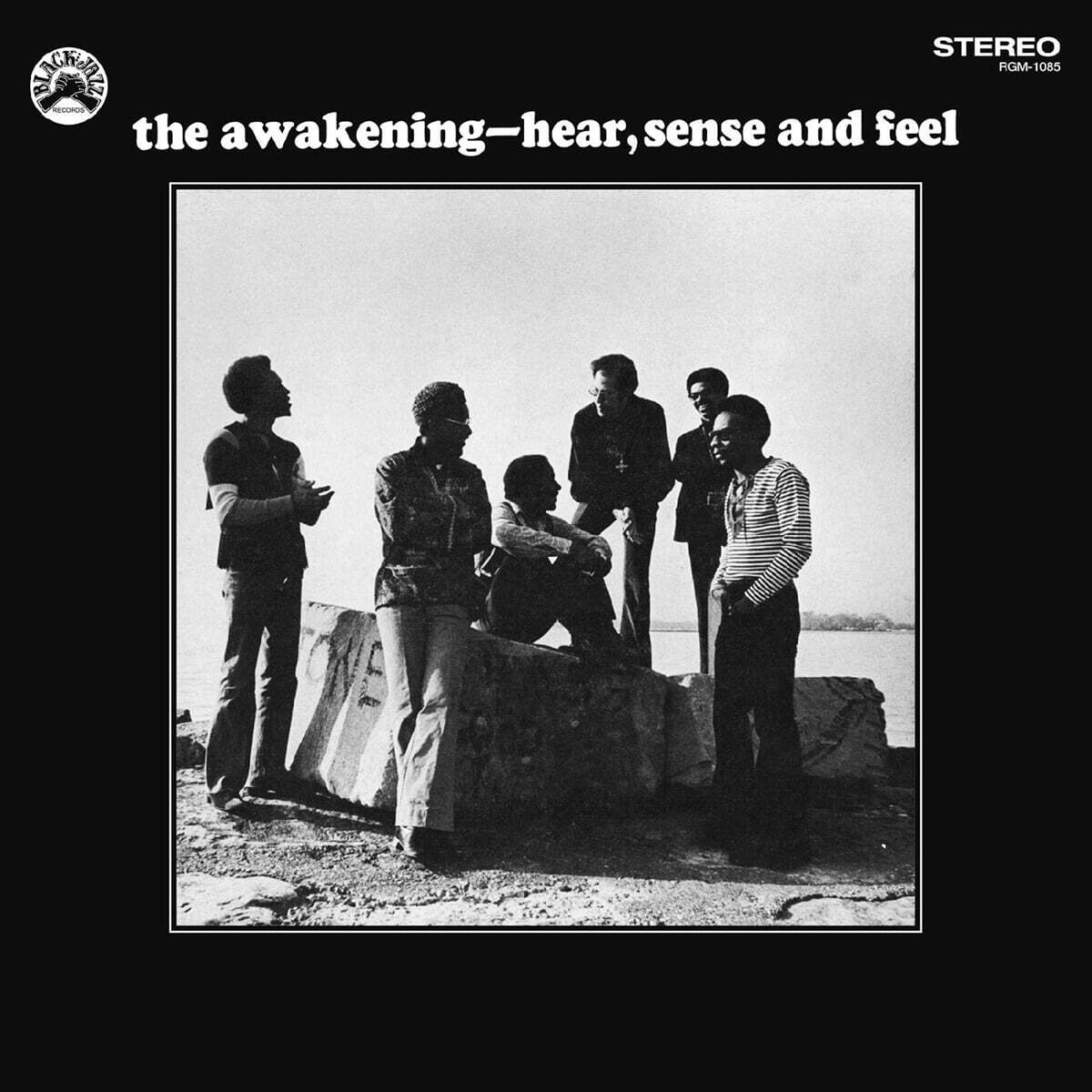The Awakening (어웨이크닝) - Hear, Sense and Feel [블루 & 블랙 스월 컬러 LP]