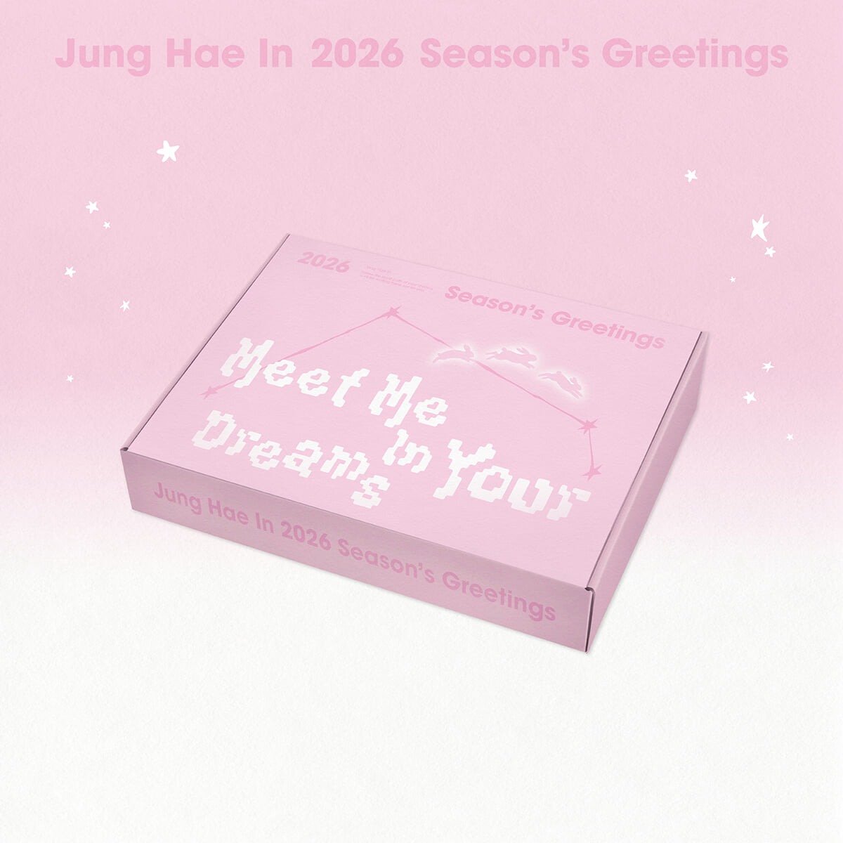 정해인 (JUNG HAE IN) 2026 SEASON’S GREETINGS - Meet Me In Your Dreams