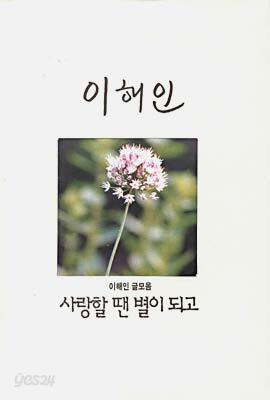 사랑할 땐 별이 되고