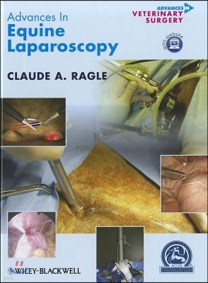 Advances in Equine Laparoscopy