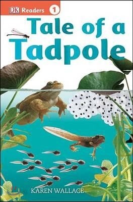 Tale of a Tadpole