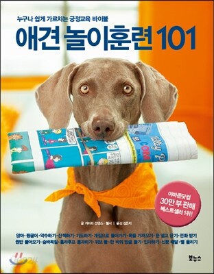 애견 놀이훈련 101