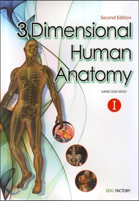 3 Dimensional Human Anatomy