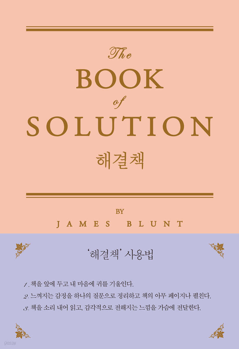 해결책