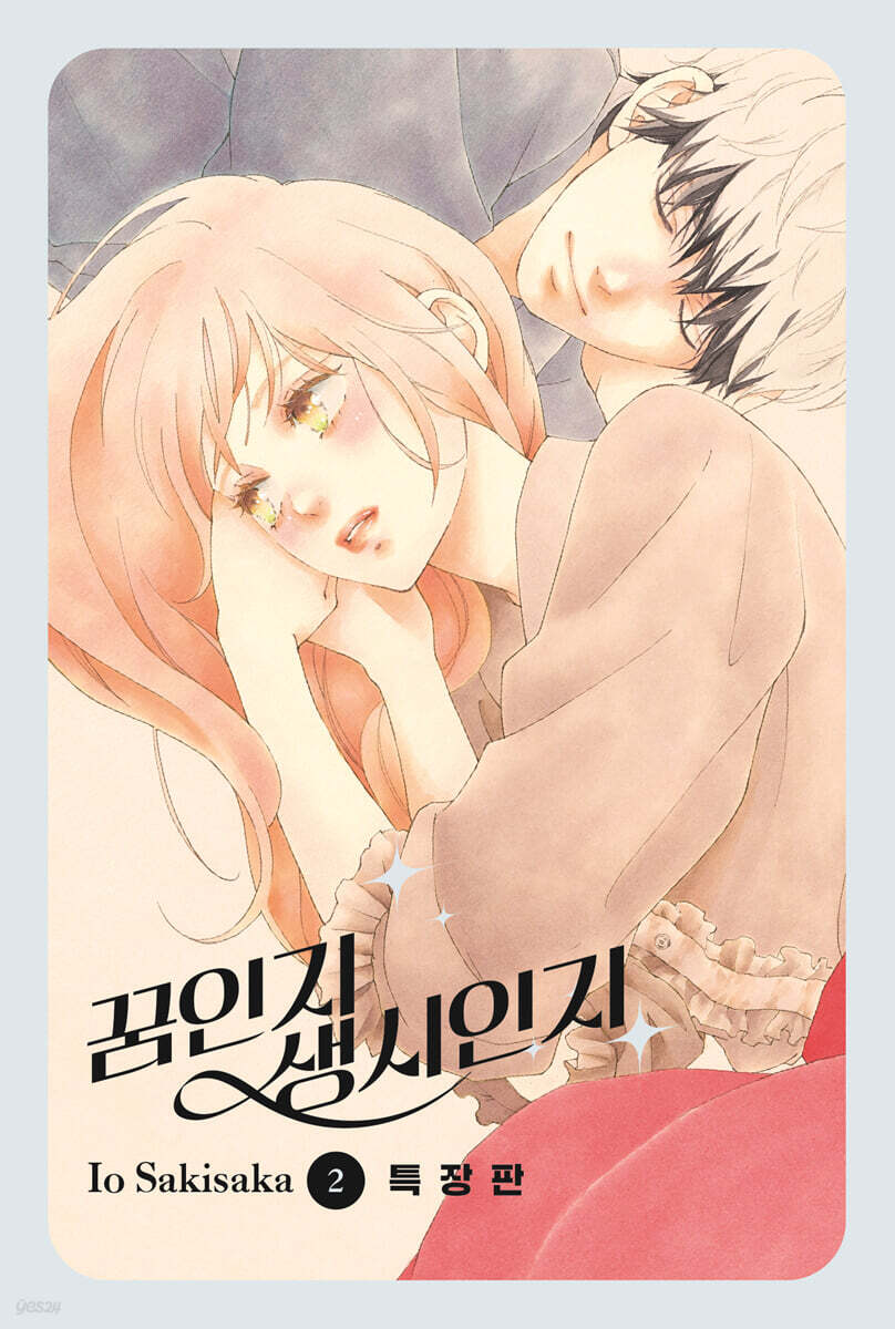 꿈인지 생시인지 2 특장판