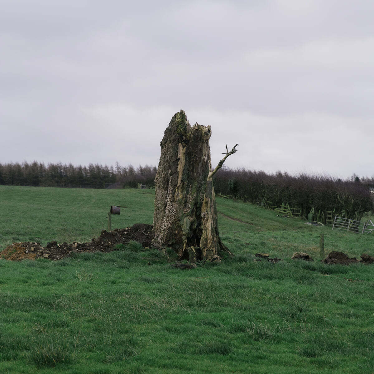 After Thoughts (애프터 쏫스) - Vermin of Mind