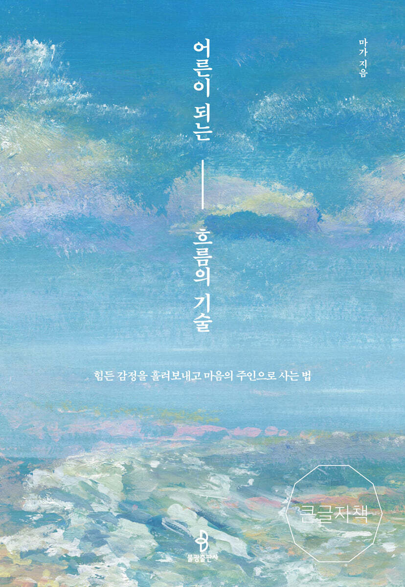 어른이 되는 흐름의 기술 (큰글자책)