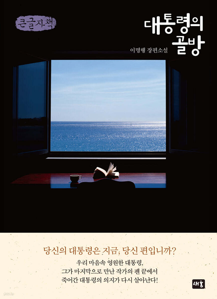 대통령의 골방 (큰글자책)