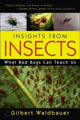 Insights from Insects: What Bad Bugs Can Teach Us