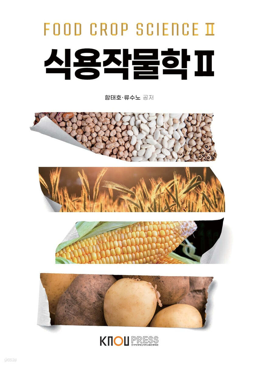 식용작물학2