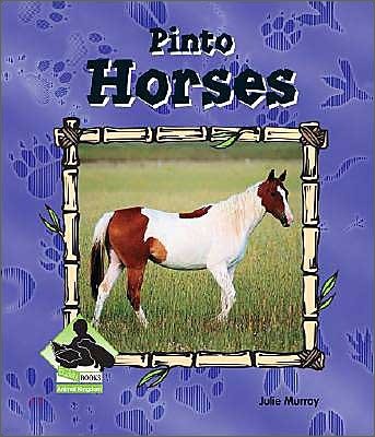 Pinto Horses