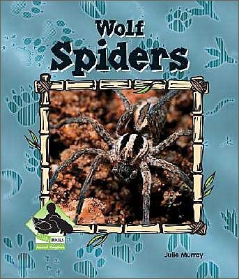 Wolf Spiders