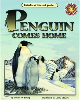 Penguin Comes Home