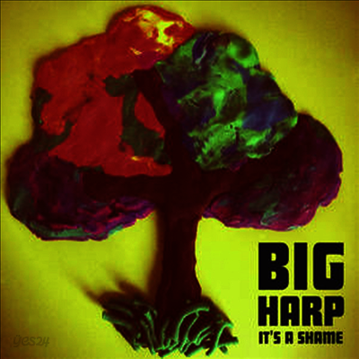 Big Harp - It's A Shame (7inch Single LP)