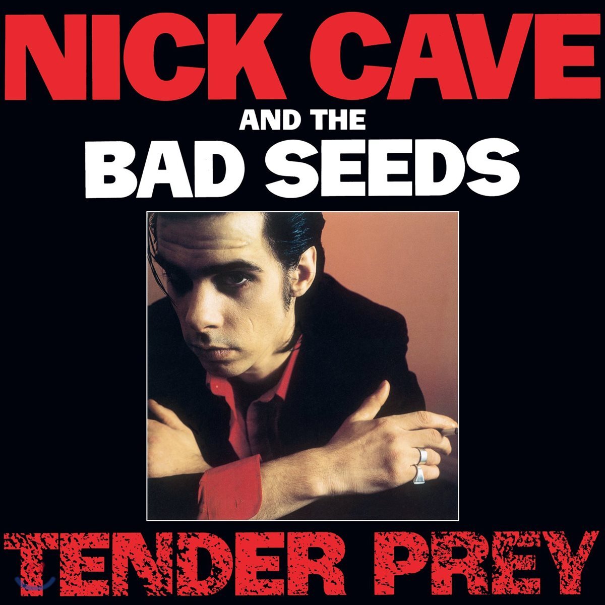Nick Cave and the Bad Seeds (닉 케이브 앤 더 배드 시즈) - Tender Prey [LP]