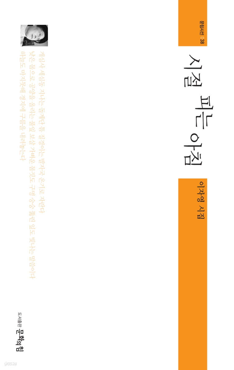 시절 피는 아침
