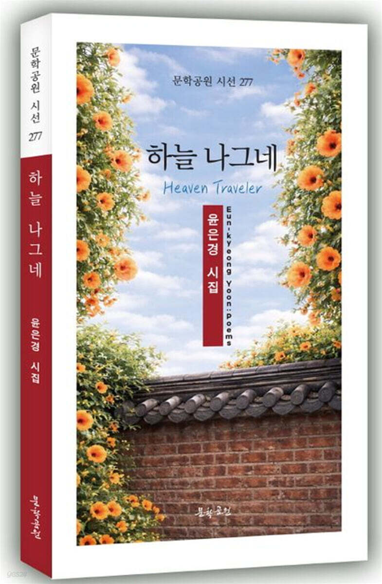 하늘 나그네