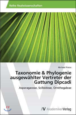 Taxonomie & Phylogenie ausgewahlter Vertreter der Gattung Dipcadi