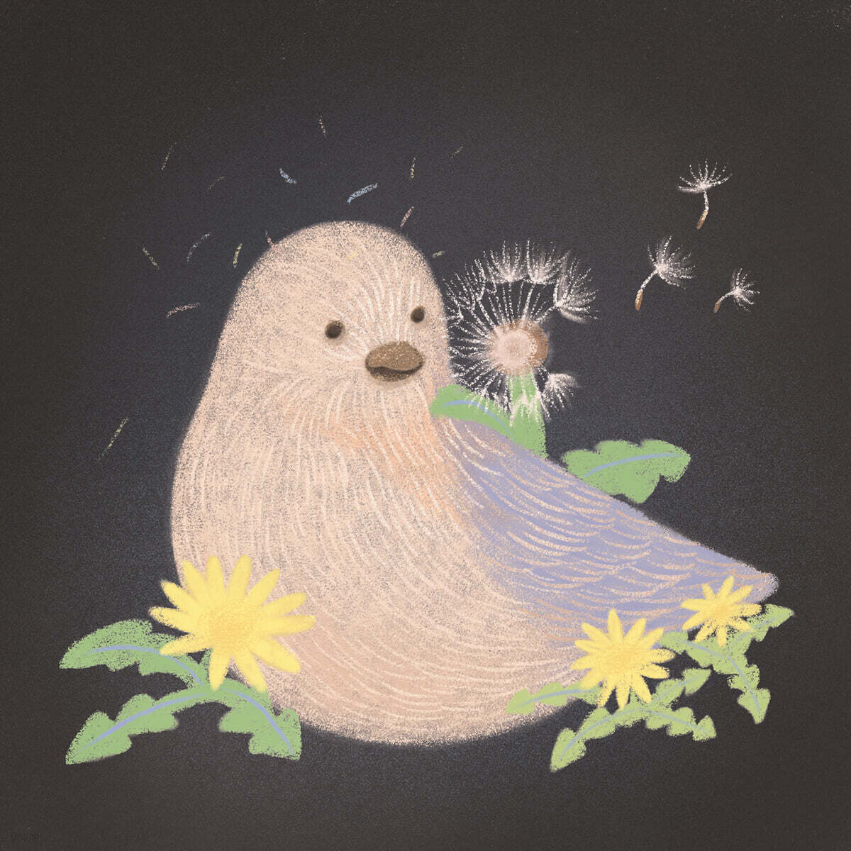 새의 전부 - EP : 노래하는 새