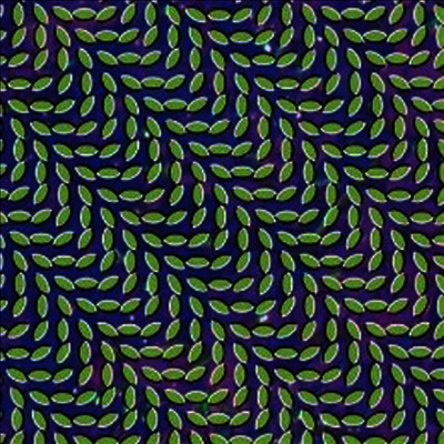 Animal Collective — Merrweather Post Pavillion 앨범 커버