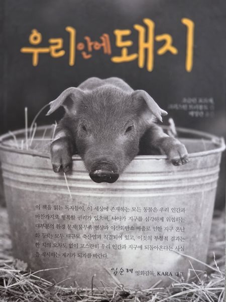 우리 안에 돼지