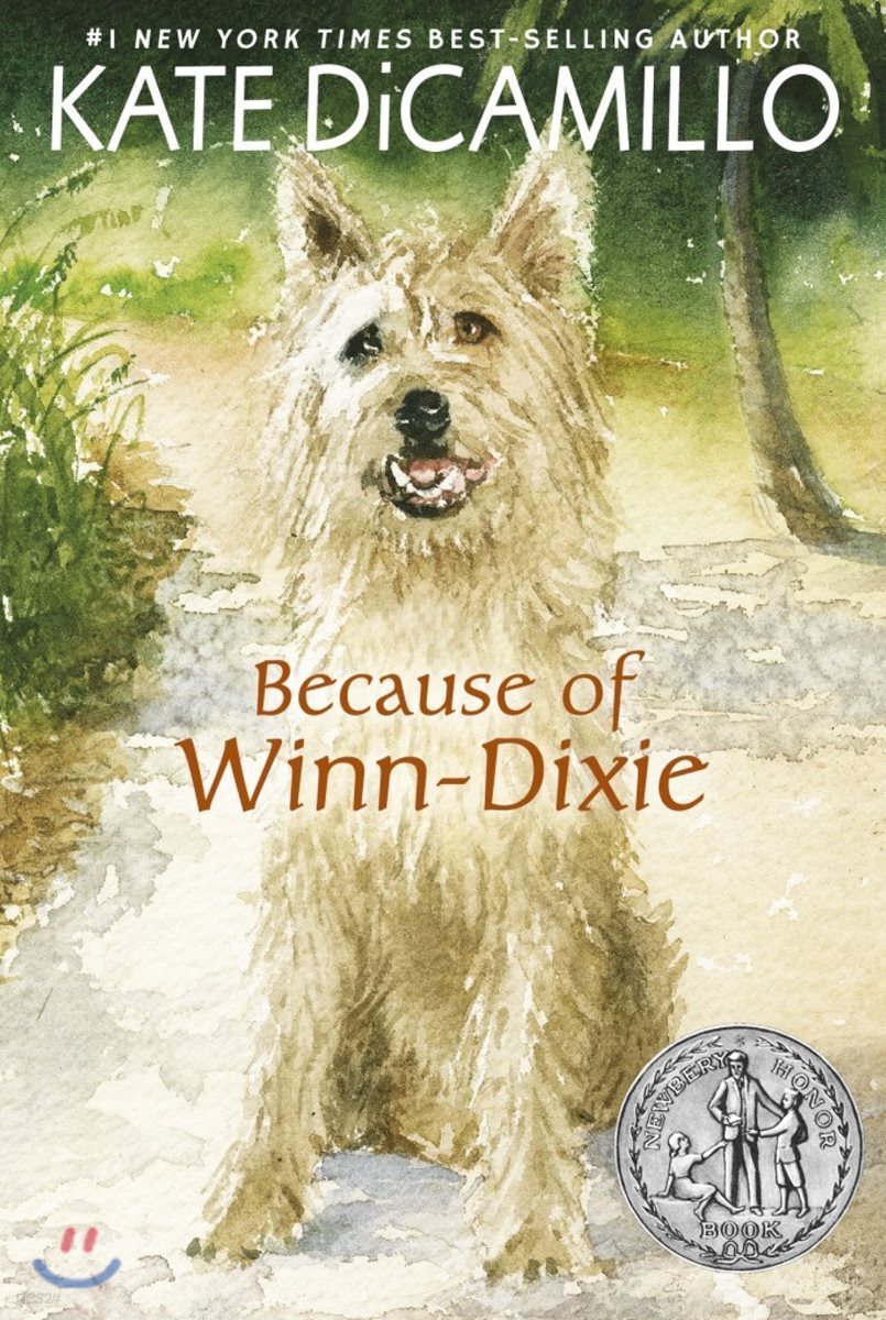 Because of Winndixie YES24